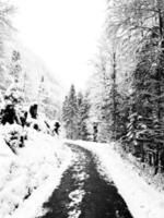 loopbrug wandelen episch berg buitenshuis avontuur naar de oud zout de mijne van hallstatt voorbij gaan aan de pijnboom Woud en winter sneeuw berg landschap buitenshuis avontuur, Oostenrijk foto