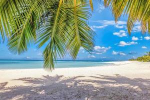 strand natuur concept. palm bladeren over- strand in tropisch idyllisch paradijs eiland. exotisch landschap voor dromerig en inspirerend zomer landschap gebruik voor achtergrond of behang. zonnig buitenshuis toerisme foto