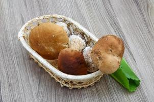 wild champignons Aan houten mand en wit achtergrond foto