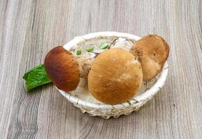 wild champignons Aan houten mand en wit achtergrond foto