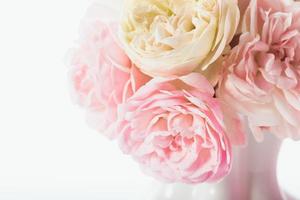 roze rozen bos foto