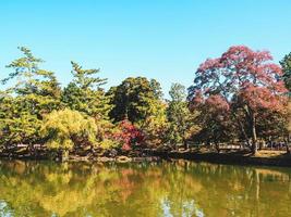 de visie van Woud of park in Japan voor kom tot rust met blauw lucht foto