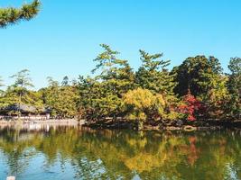 de visie van Woud of park in Japan voor kom tot rust met blauw lucht foto