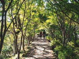 paar wandelen hand- in hand- in de park van Japan foto