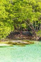 klein mooi cenote grot met rivier- turkoois blauw water Mexico. foto