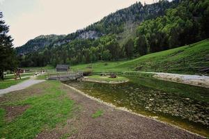 vijver en houten brug Bij untertauern wildpark, Oostenrijk. foto