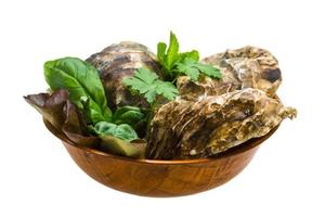 vers oester in een kom Aan wit achtergrond foto