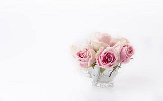 wit en roze roos foto