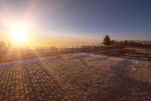 winterlandschap tijdens zonsondergang foto