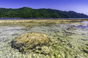 teluk Kiluan kokosnoot eiland foto