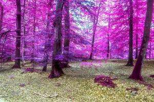 prachtig roze en paars infrarood panorama van een landelijk landschap met een blauwe lucht foto