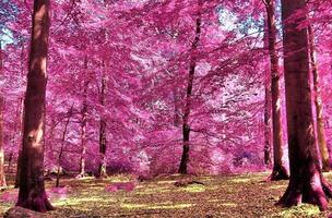 prachtig roze en paars infrarood panorama van een landelijk landschap met een blauwe lucht foto