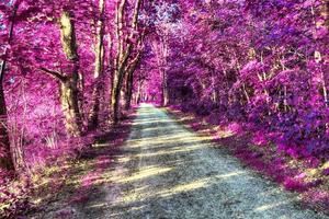 prachtig roze en paars infrarood panorama van een landelijk landschap met een blauwe lucht foto