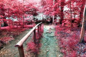 prachtig roze en paars infrarood panorama van een landelijk landschap met een blauwe lucht foto