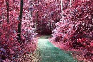 prachtig roze en paars infrarood panorama van een landelijk landschap met een blauwe lucht foto