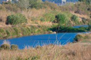 llobregat rivier- heel dichtbij naar haar mond in de middellandse Zee zee in de buurt de stad van Barcelona. foto