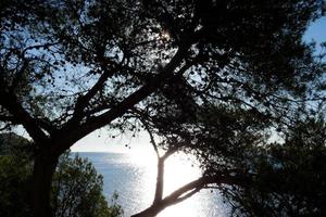 sant feliu de guixolen stad- Aan de costa bravoure, Spanje foto