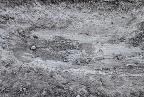 gedetailleerd dichtbij omhoog visie Aan een bruin zand grond structuur foto