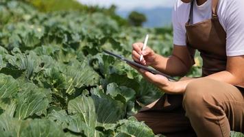 boerenvrouw die digitale tabletcomputer in het veld gebruikt, technologietoepassing in landbouwactiviteiten, foto