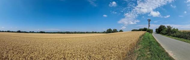 mooi visie Aan platteland wegen met velden en bomen in noordelijk Europa foto