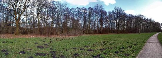 prachtig panorama met hoge resolutie van een Noord-Europees landlandschap met velden en groen gras foto