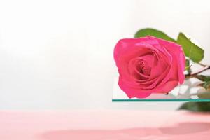 roze roos bloem hoofd Aan een glas met kopiëren ruimte. sjabloon tafereel voor kunstmatig of huishouden geparfumeerd Product met roos geur. foto