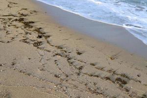 zanderig strand Aan de middellandse Zee zee in noordelijk Israël. foto