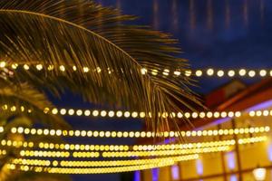 nacht landschap met palm takken Aan de achtergrond van lantaarns foto