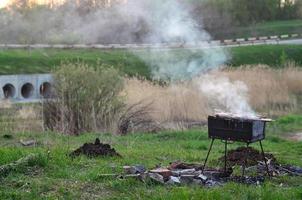 shish kebab van kip Vleugels zijn gebakken in de veld. een klassiek barbecue in de Open lucht. de werkwijze van frituren vlees Aan houtskool foto
