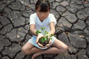 kind aanbrengen op de grond met een jonge plant