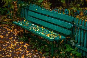 munt groen herfst bank met geel berk bladeren Bij avond foto