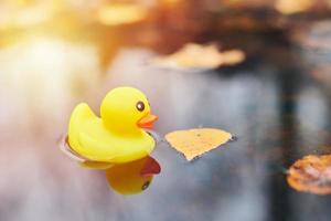 eend speelgoed- in herfst plas met bladeren foto