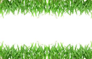 gras kader met ruimte voor tekst foto