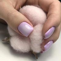 elegant modieus vrouw paars manicure.handen van een vrouw met paars manicure Aan nagels foto