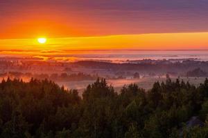 mistig vlak land rivieroever Bij gouden zomer zonsopkomst foto