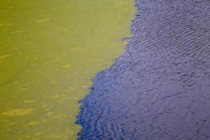 groen algen drijvend Aan golfde water oppervlakte van de vijver met uitgesproken rand foto