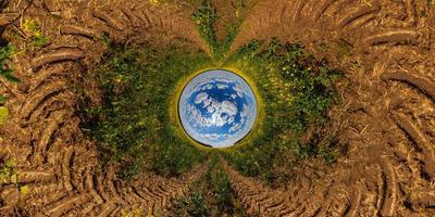 blauw gebied omgekeerd weinig planeet visie van geel bloeiende koolzaad veld, ronde tunnel visie foto