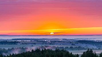 mistig vlak land rivieroever Bij gouden zomer zonsopkomst met gecentreerd samenstelling foto