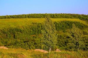 op zichzelf staand berken Aan nok landschap foto