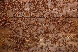 geroosterd koffie bonen Aan houten bord - vol kader achtergrond, hoog hoek visie foto