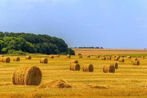 zomer veld- met rietje maait Bij daglicht foto