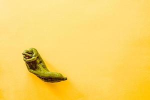 een bovenaanzicht van een groene paprika foto