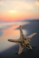 zomer strand zonsondergang met ster Aan strand foto