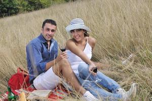 gelukkig paar genieten van platteland picknick in lang gras foto