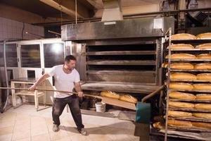 bakkerij arbeider nemen uit vers gebakken brood foto