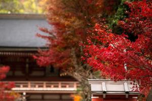 herfst tafereel van kurama-dera, een tempel gelegen Bij de baseren van monteren kurama in de ver noorden van Kyoto prefectuur, kansai, Japan foto