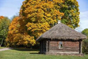 traditioneel Russisch log huis met rietje dak en een venster in voorkant van herfst rijbaan met geel herfst esdoorn- bomen foto