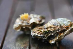 rauwe oesters