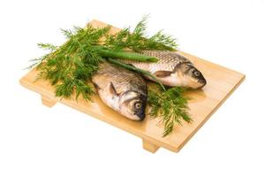 crucian Aan houten bord en wit achtergrond foto