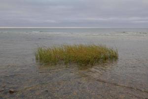 lap van strand gras gedurende hoog tij Aan de kaap foto